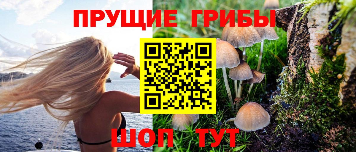 наркошоп  Вход с VPN  Галлюциногенные грибы MAGIC MUSHROOMS  Грязи  Галлюциногенные грибы MAGIC MUSHROOMS 