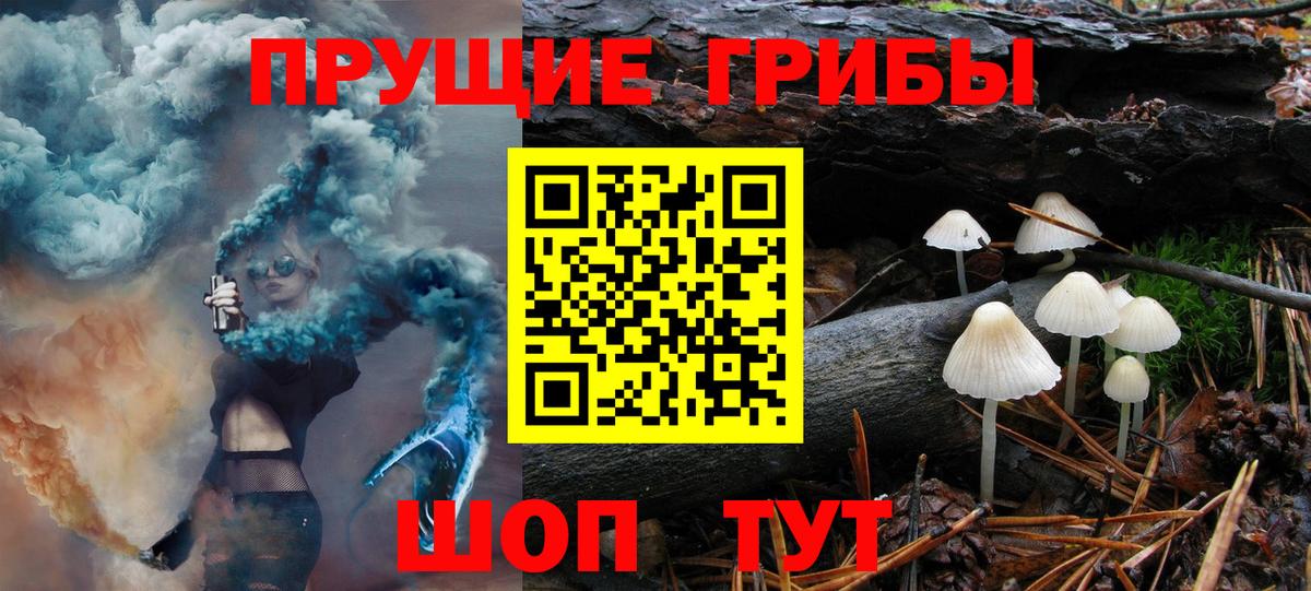 Псилоцибиновые грибы мухоморы Грязи